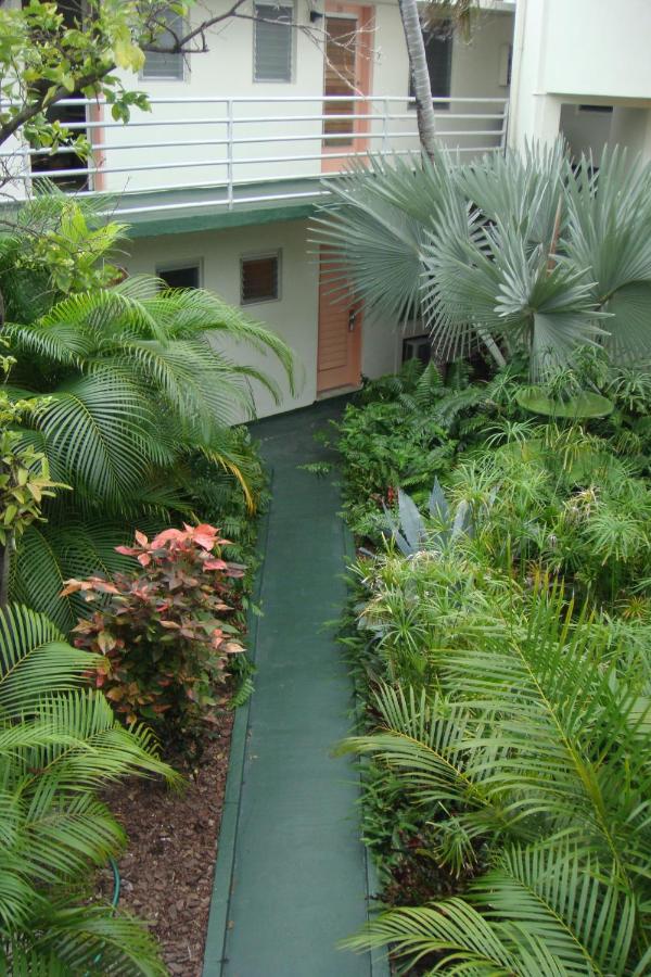 El Patio — photo 18