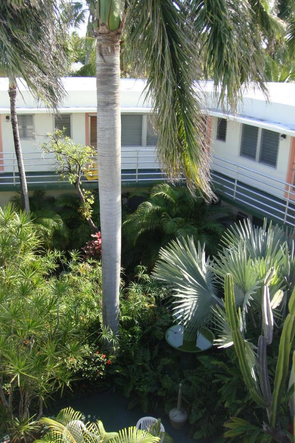 El Patio — photo 23