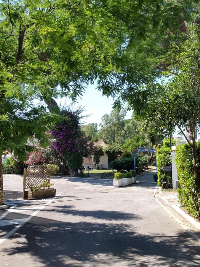 Hotel Mediterraneo photo