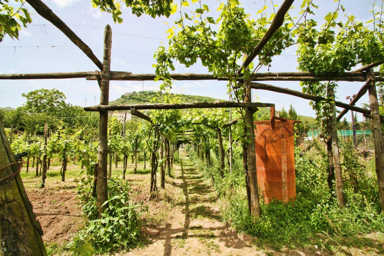 Agriturismo La Chiana photo