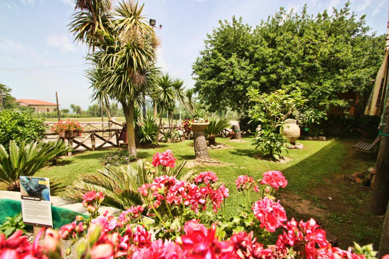 Agriturismo La Chiana photo