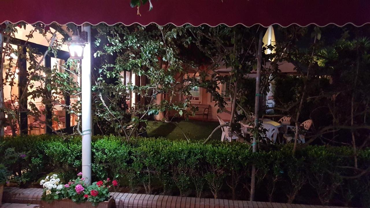 Hotel Mediterraneo photo