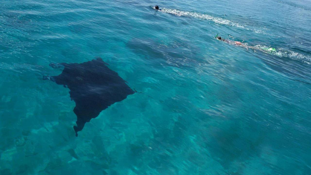 Riveli Retreat Mathiveri - 5