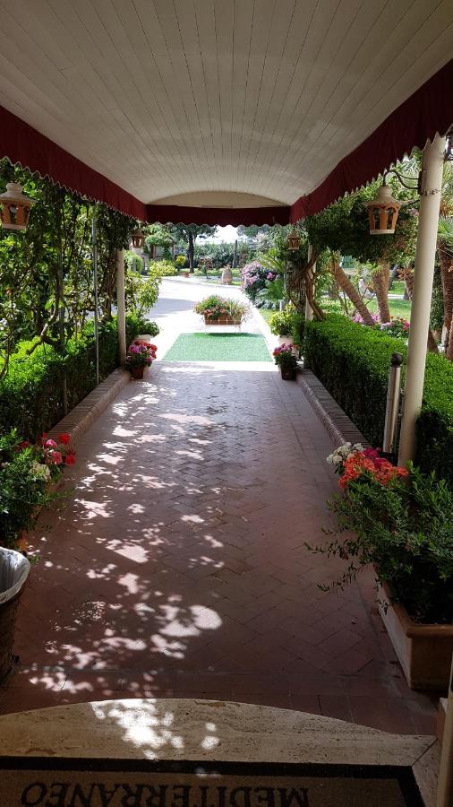 Hotel Mediterraneo photo