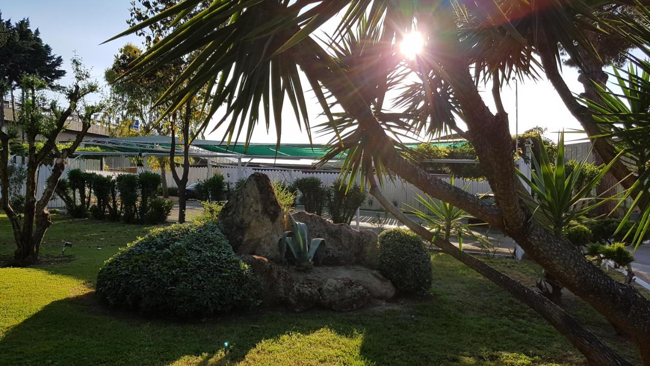 Hotel Mediterraneo photo