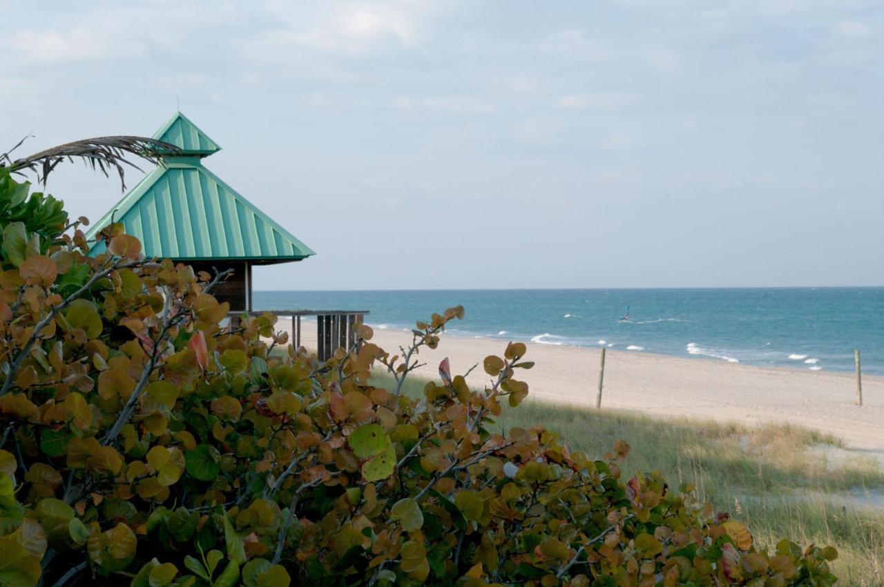 Hotel, plaża: Ocean Lodge