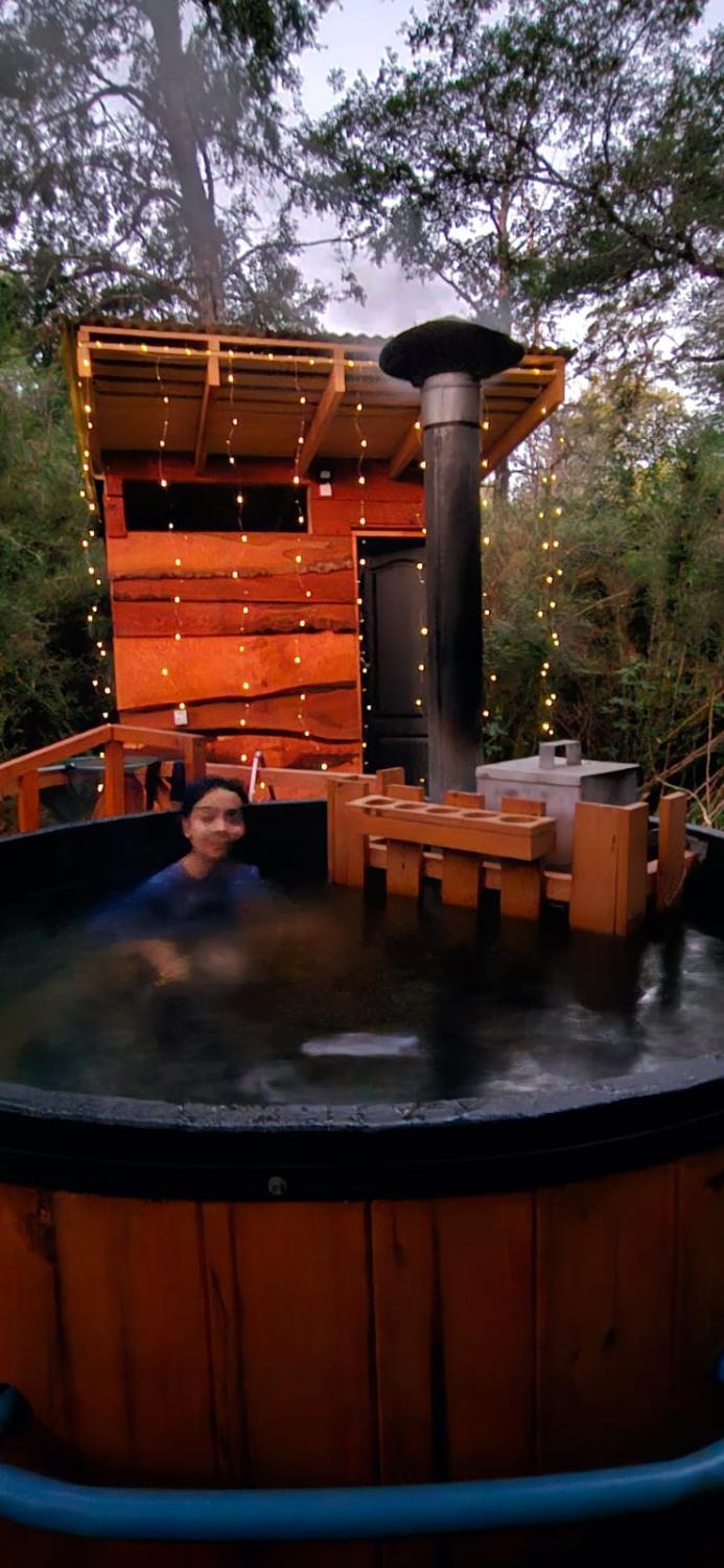 DOMO Ecológico - Foto 3