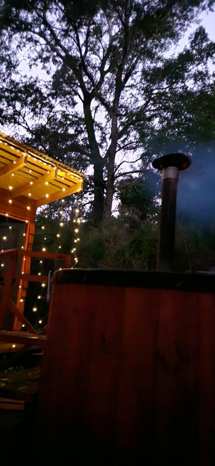 DOMO Ecológico - Foto 2