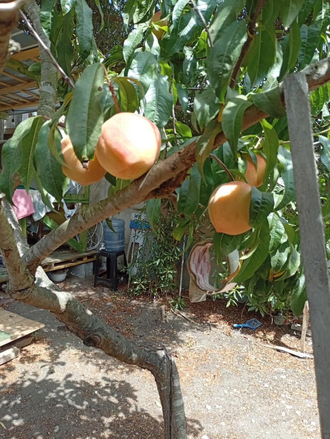 Litoral Central - Foto 3