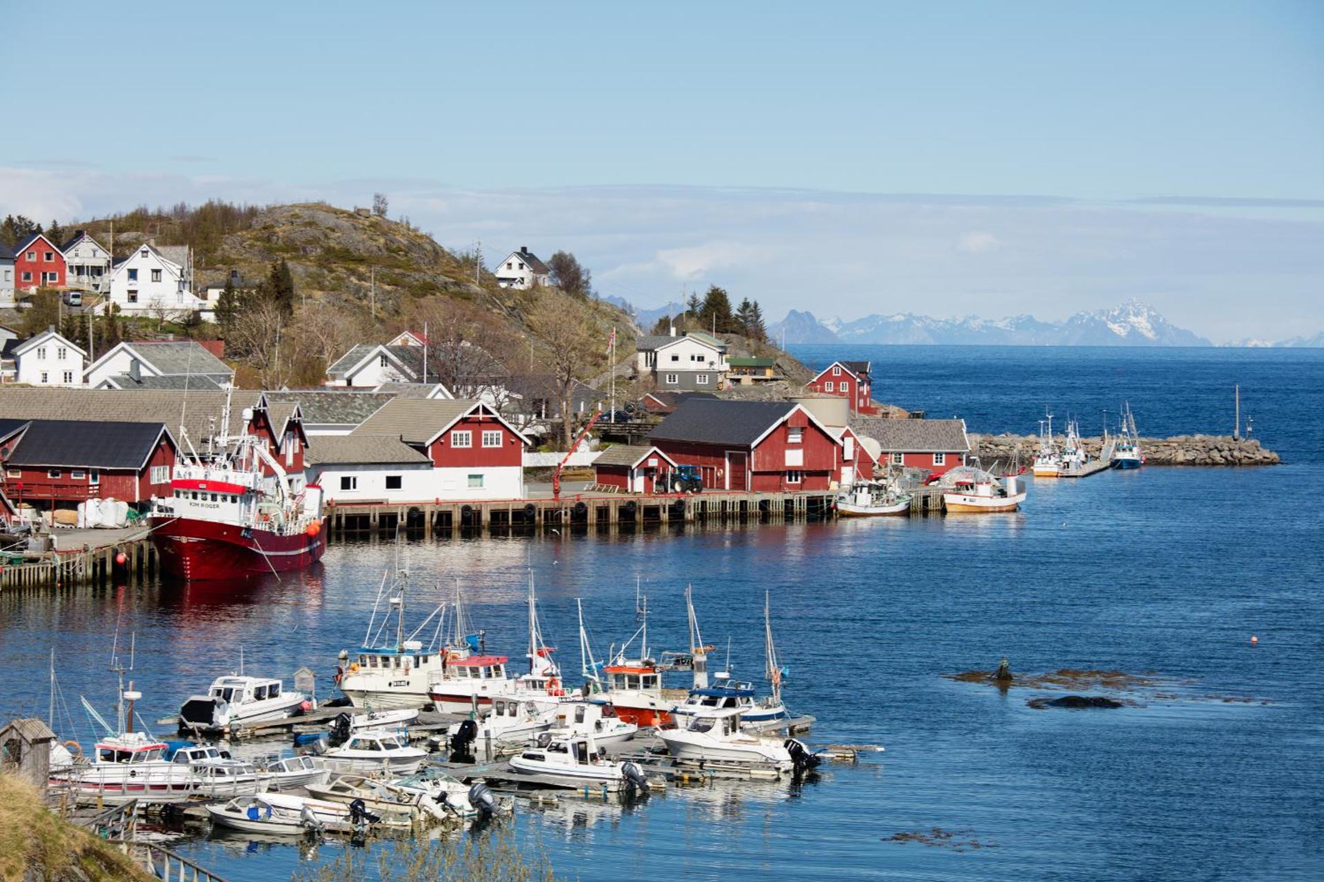 The Tide - Rorbuer - Photo 15