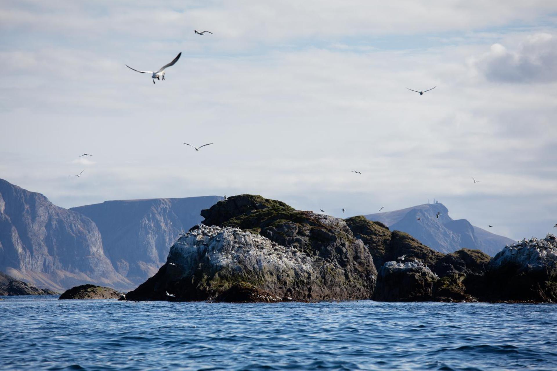 The Tide - Rorbuer - Photo 120