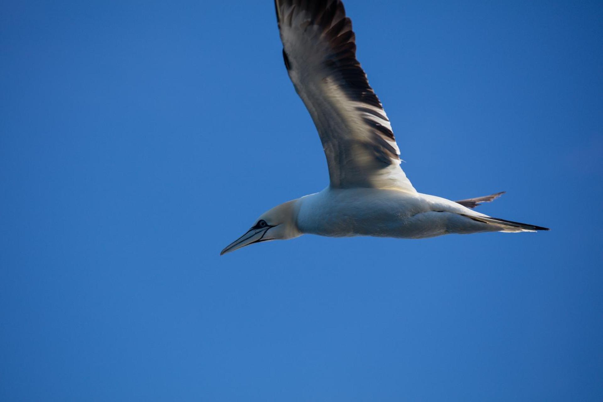 The Tide - Rorbuer - Photo 119