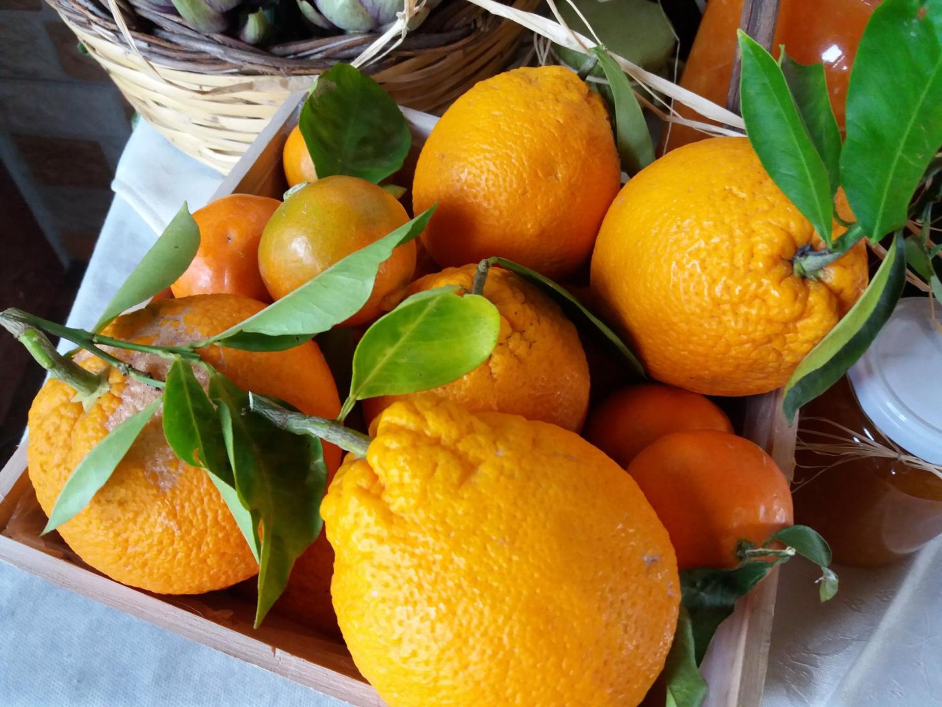 La Fattoria Dei Nonni - Photo 171