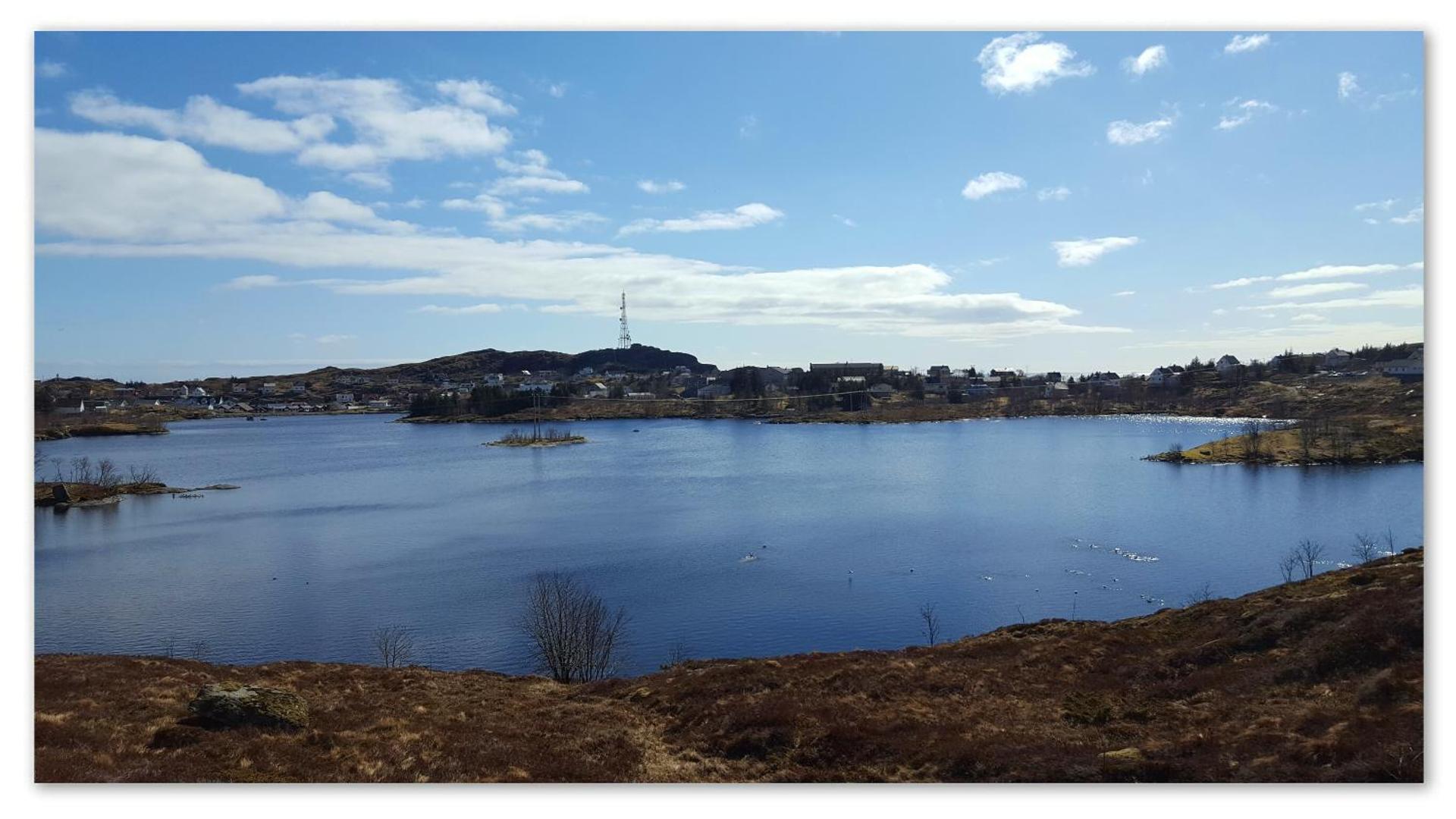 Sørvågen INN - Photo 15