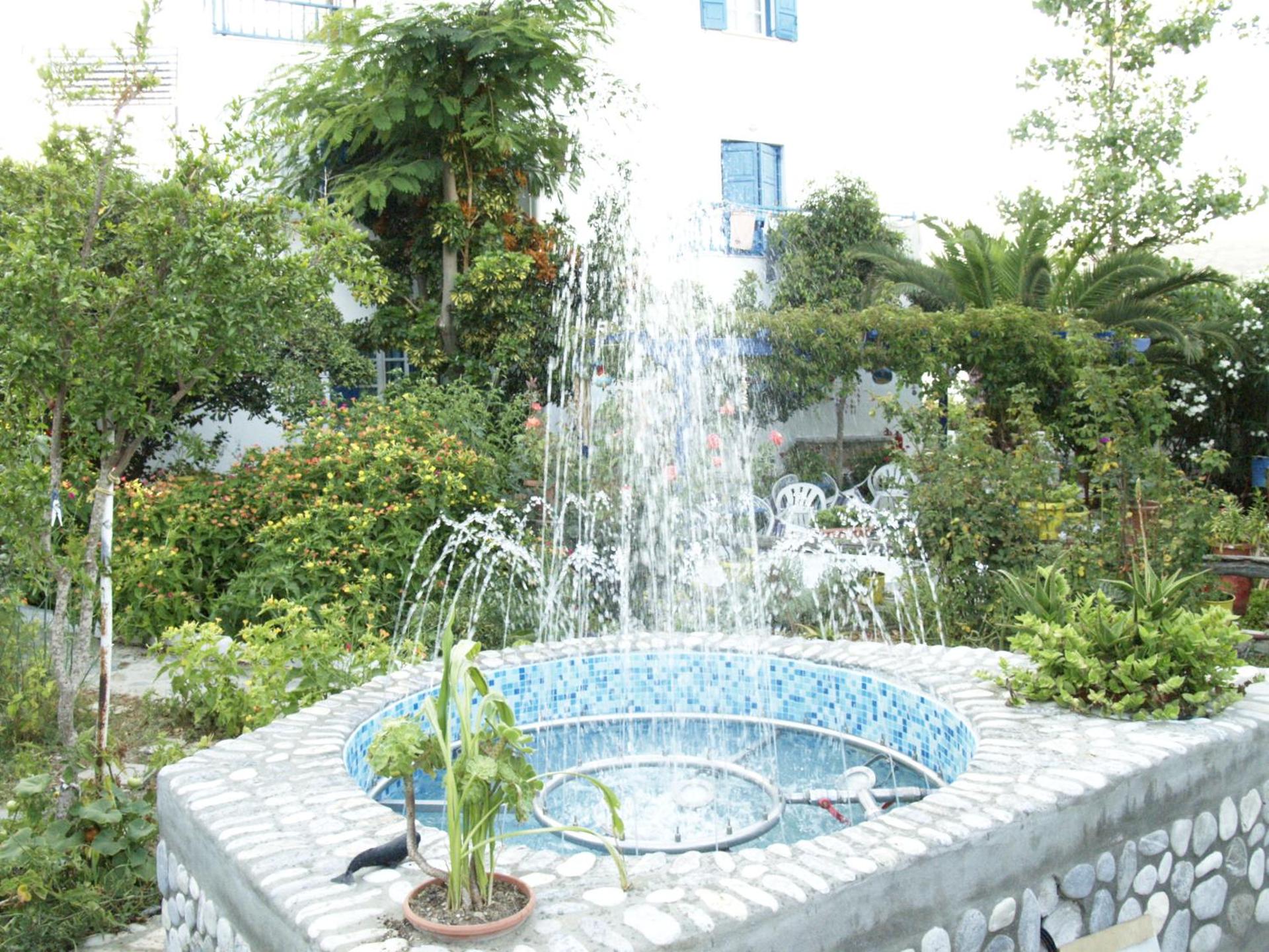 Pension Sofia Amorgos-Katapola - Photo 36