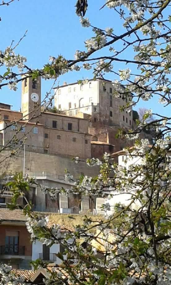 Casa Carolina - Photo 6