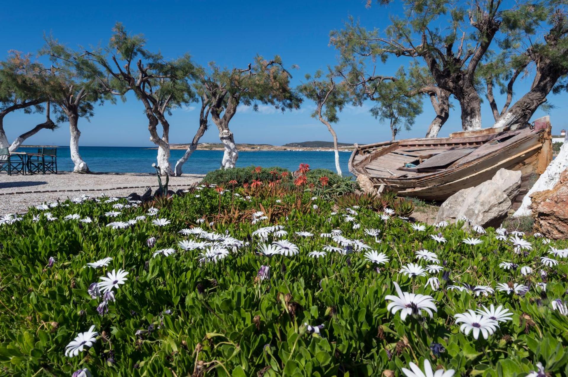 Kalypso Hotel - Photo 68