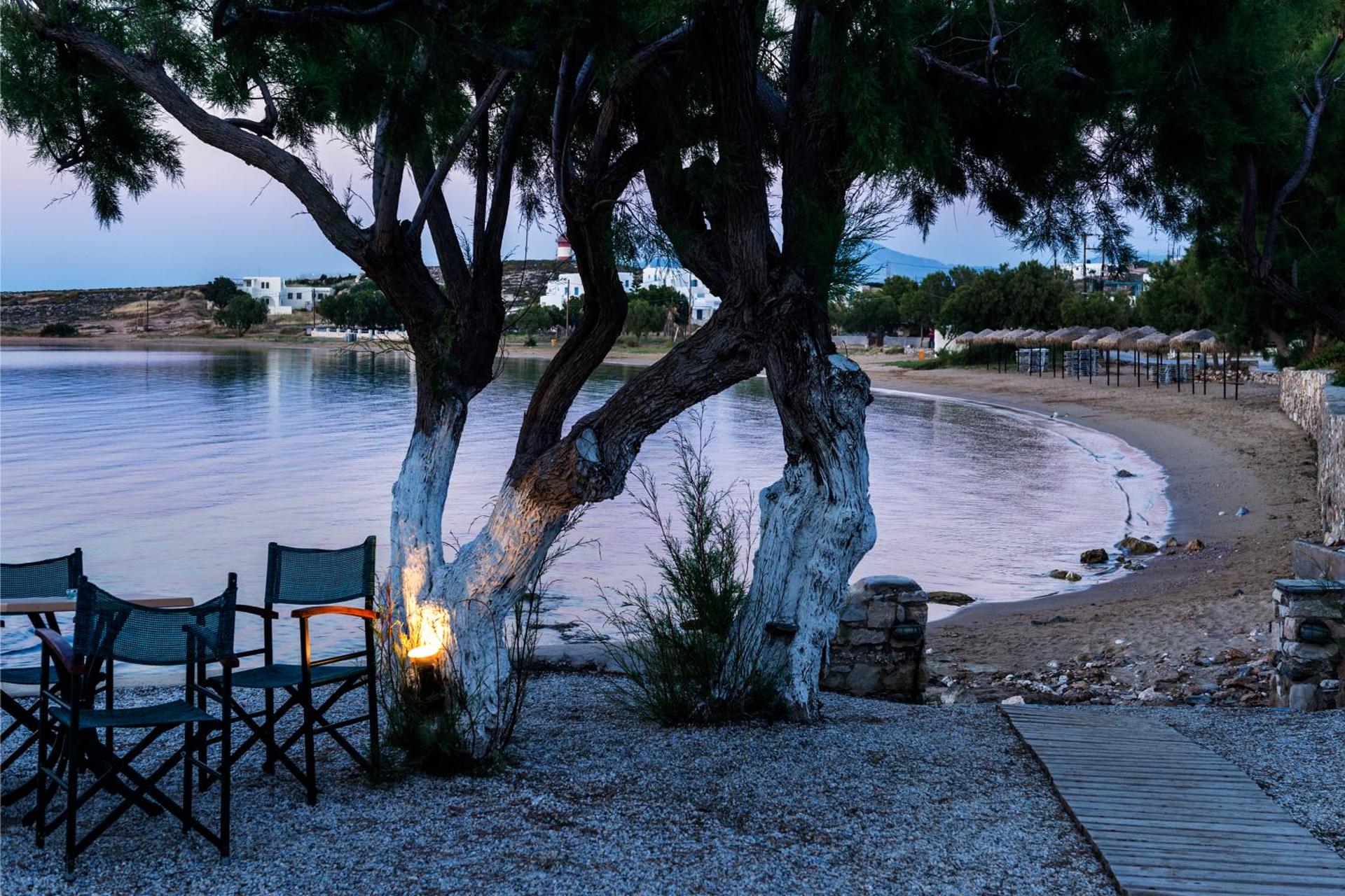 Kalypso Hotel - Photo 64