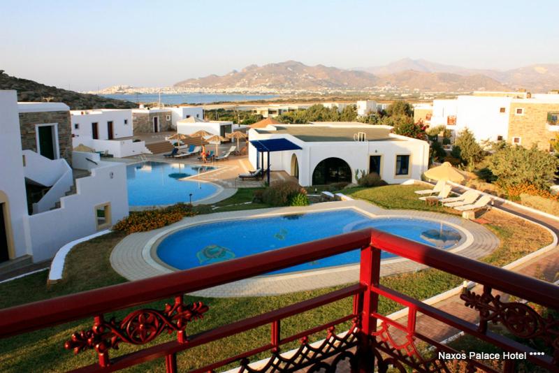 Naxos Palace Hotel - Photo 17