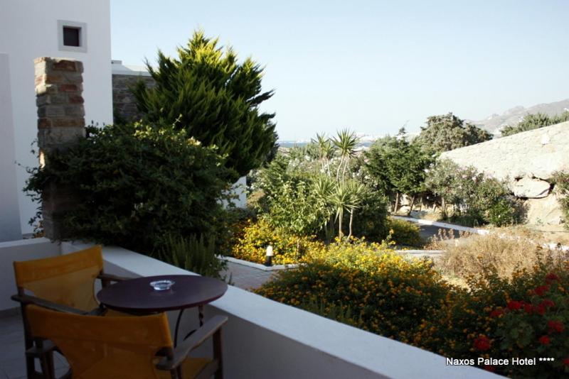 Naxos Palace Hotel - Photo 15