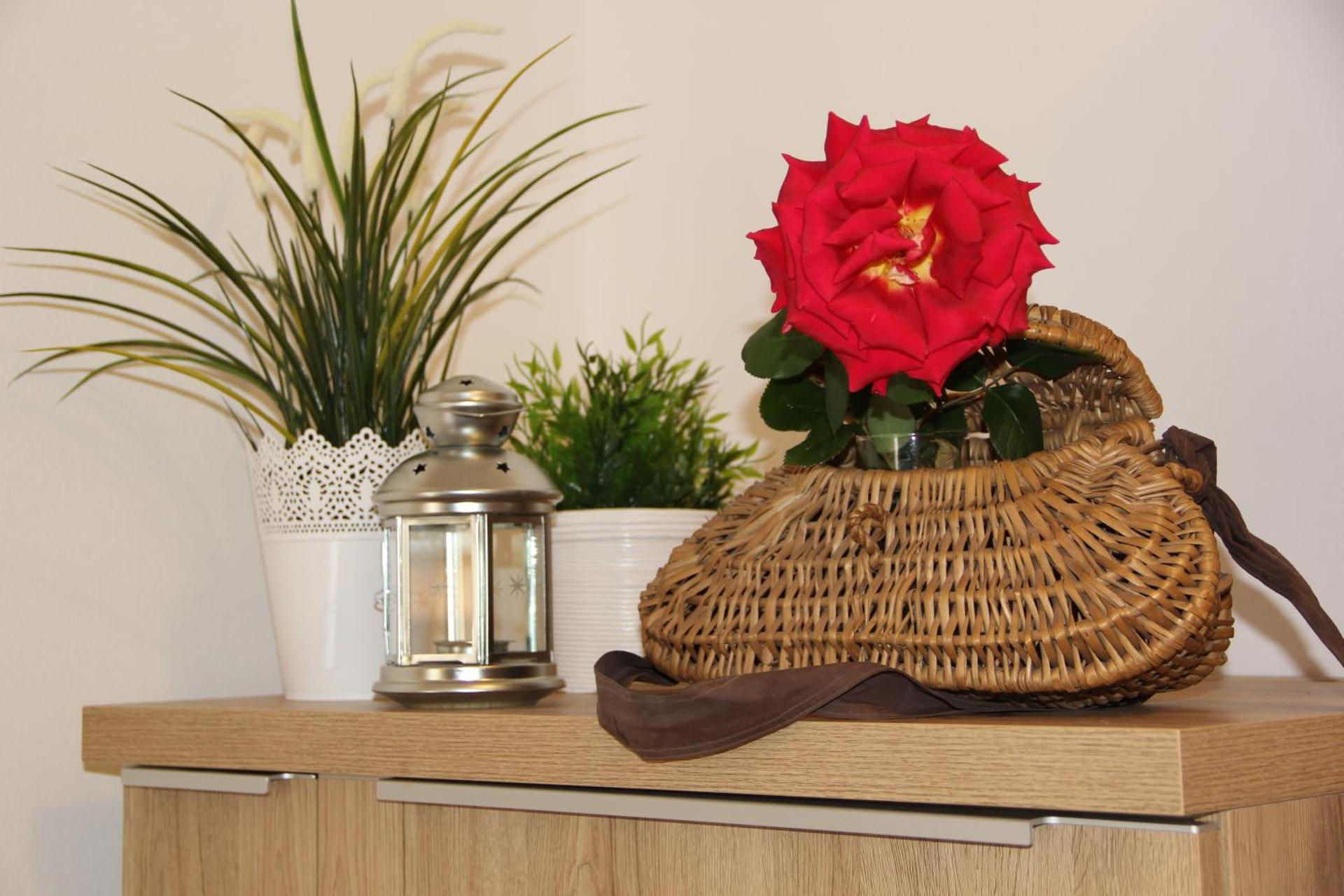 Dolce Casa - Photo 15