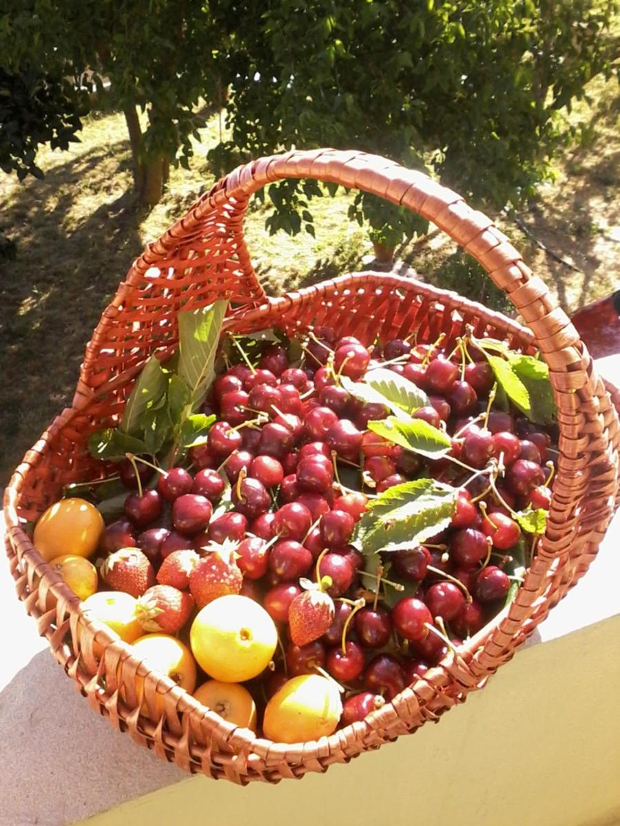 B&B Meladormo - Photo 10