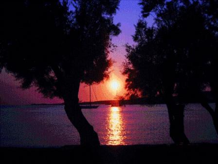 Hotel Paros - Photo 26