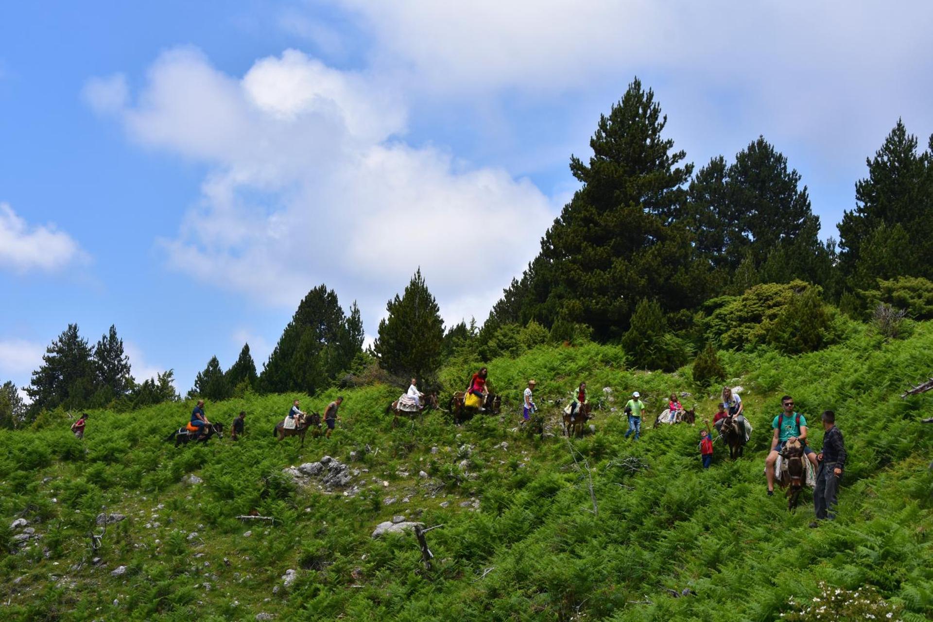 Hotel Castle Park - Photo 87