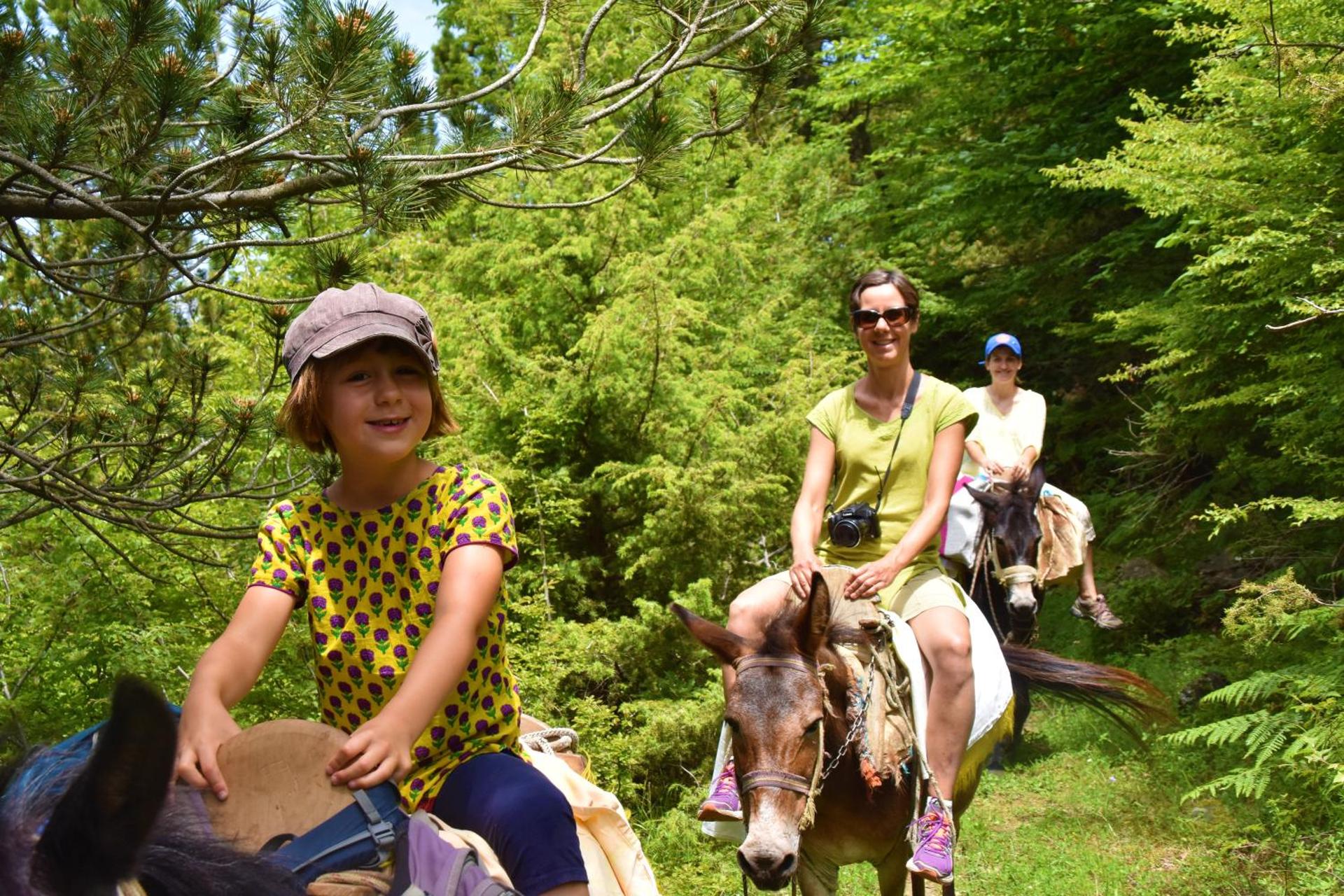 Hotel Castle Park - Photo 40