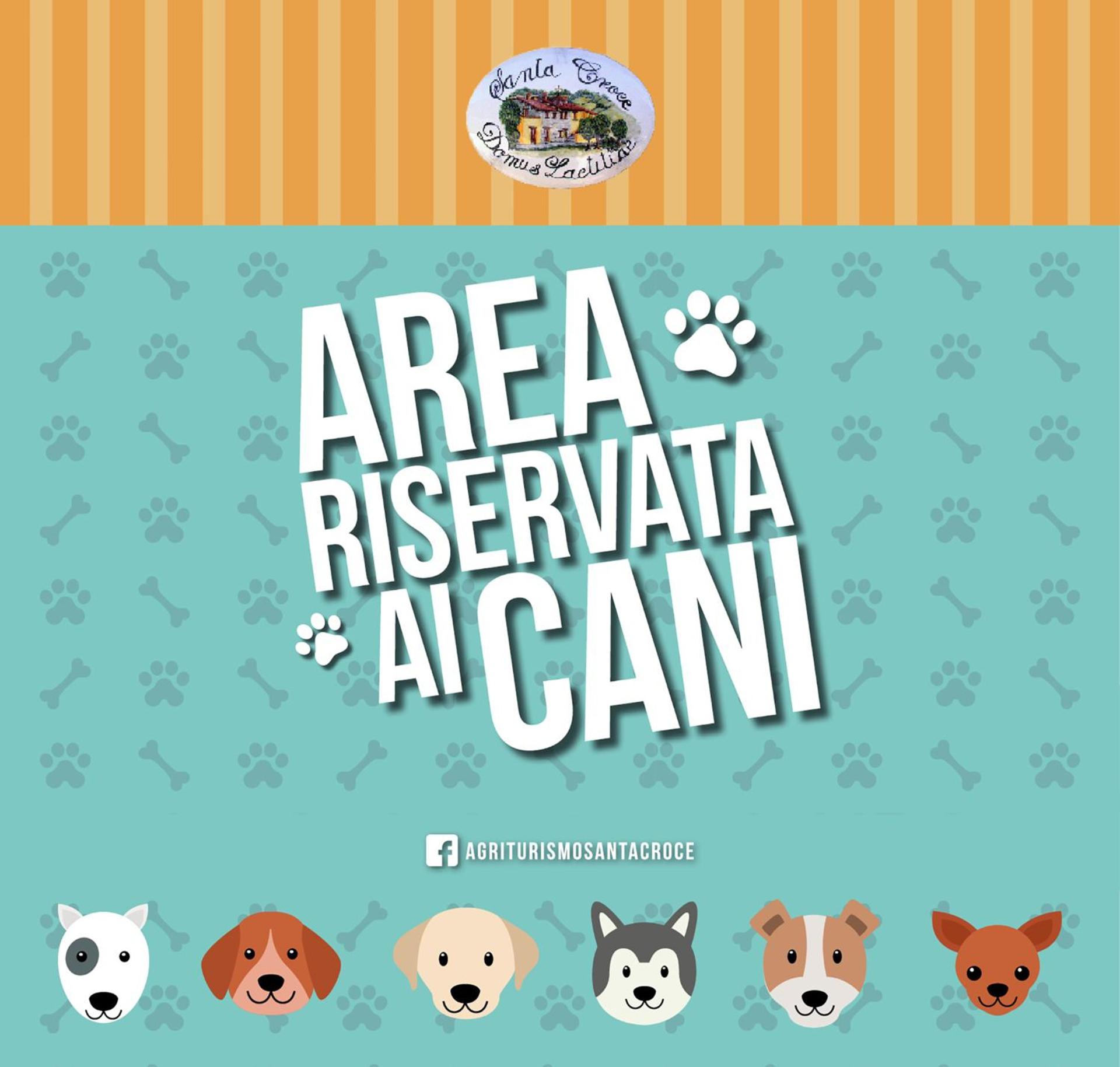 Domus Laetitiae Santa Croce - Photo 17