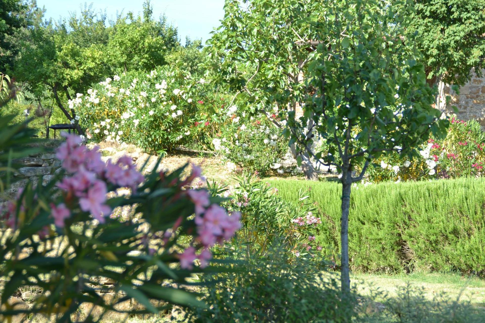 Podere Vignola - Photo 231