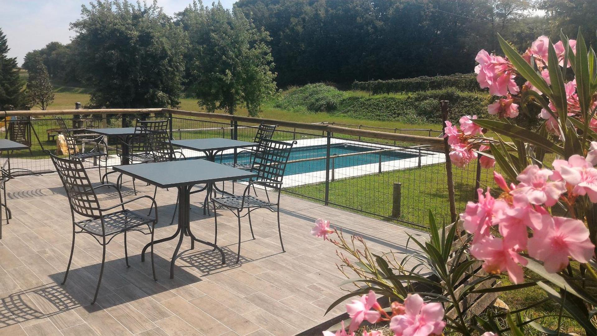 Le Vigne di Adamo - Photo 4