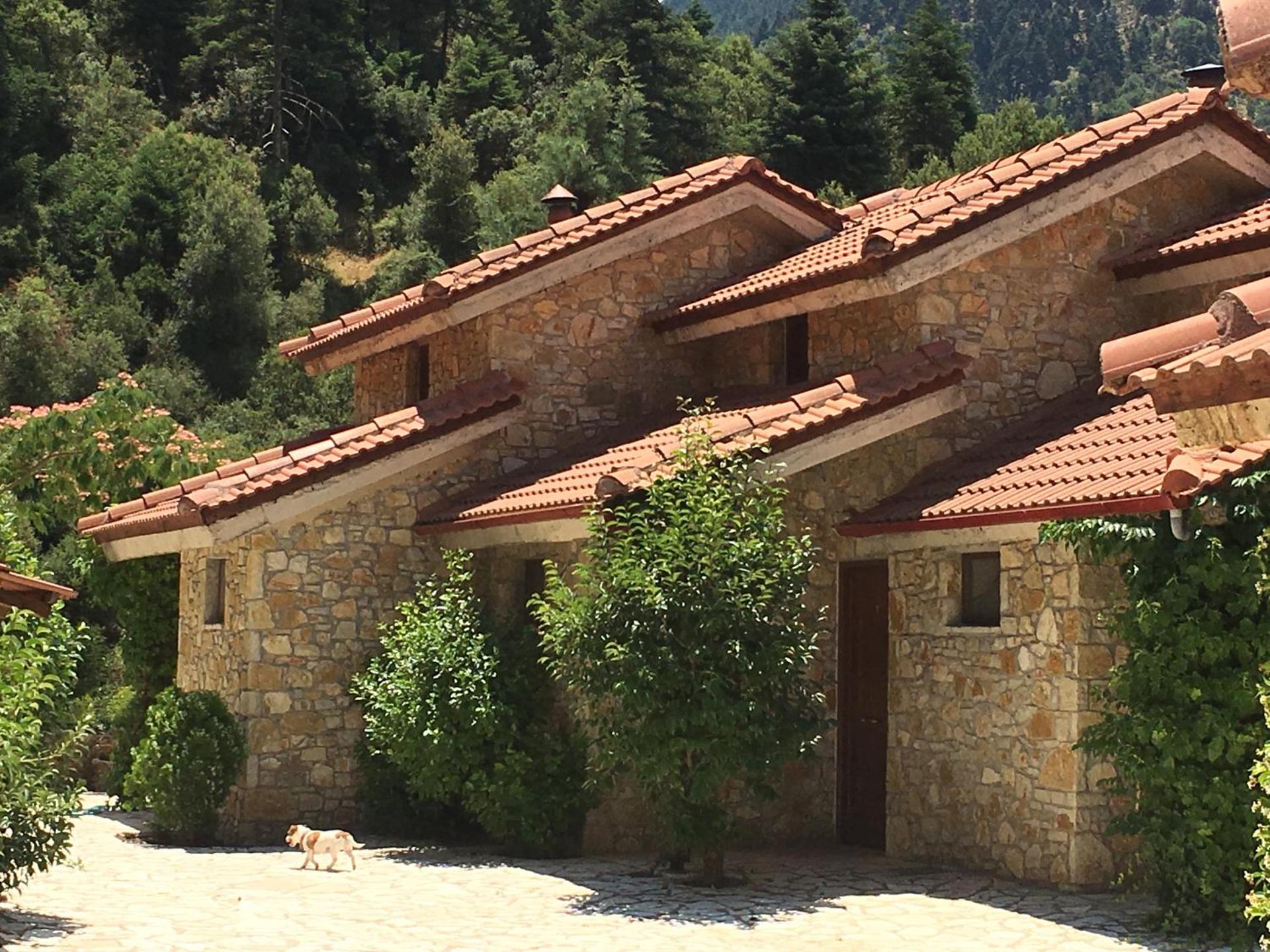 Georgio's V Chalet Kalavrita - Photo 158