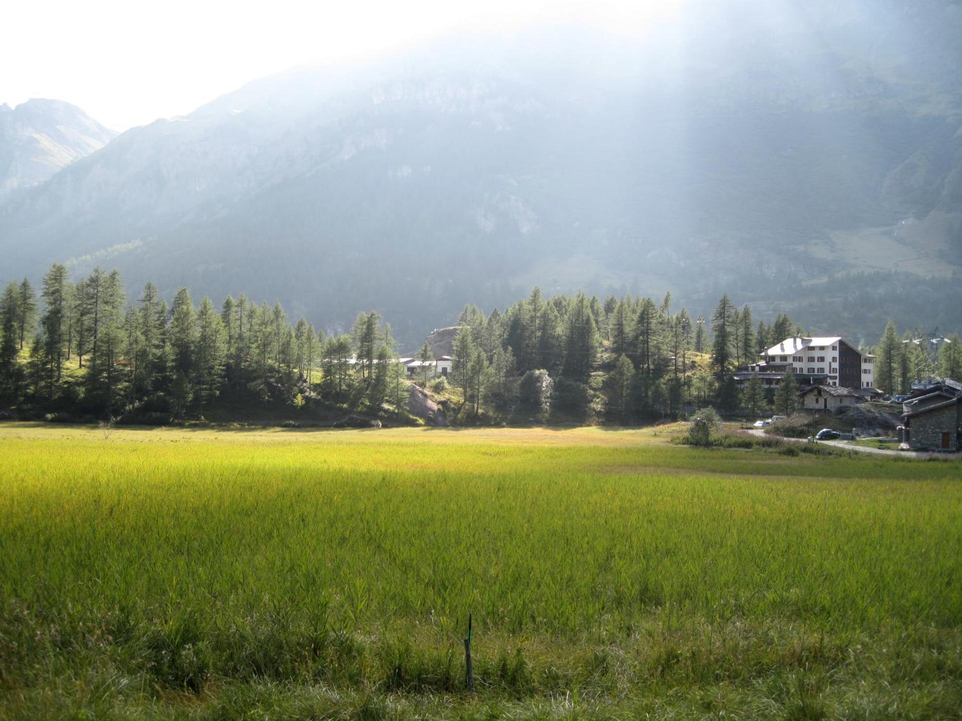 Les Neiges D'Antan - Photo 5