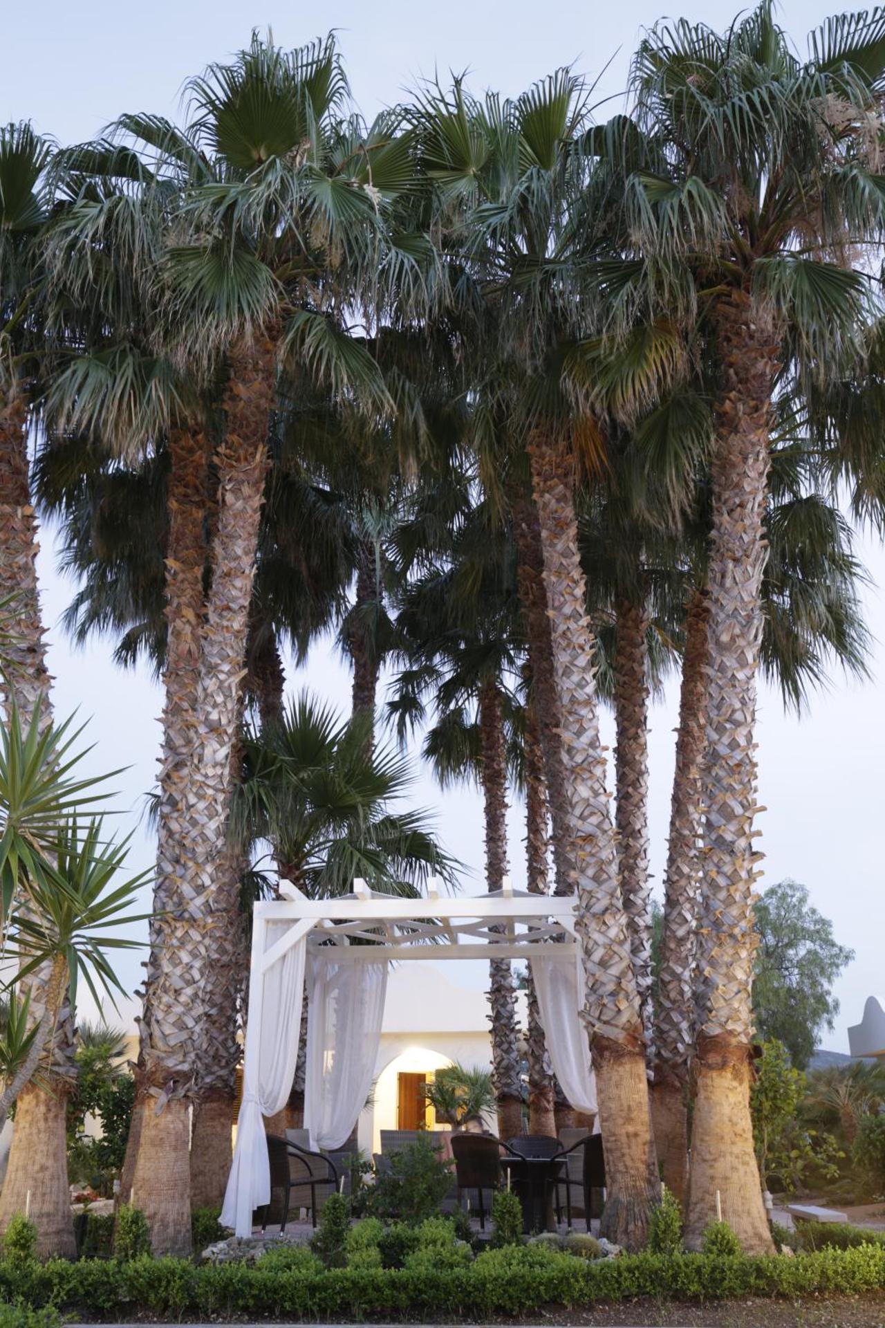 Garden Hotel Ripa - Photo 70