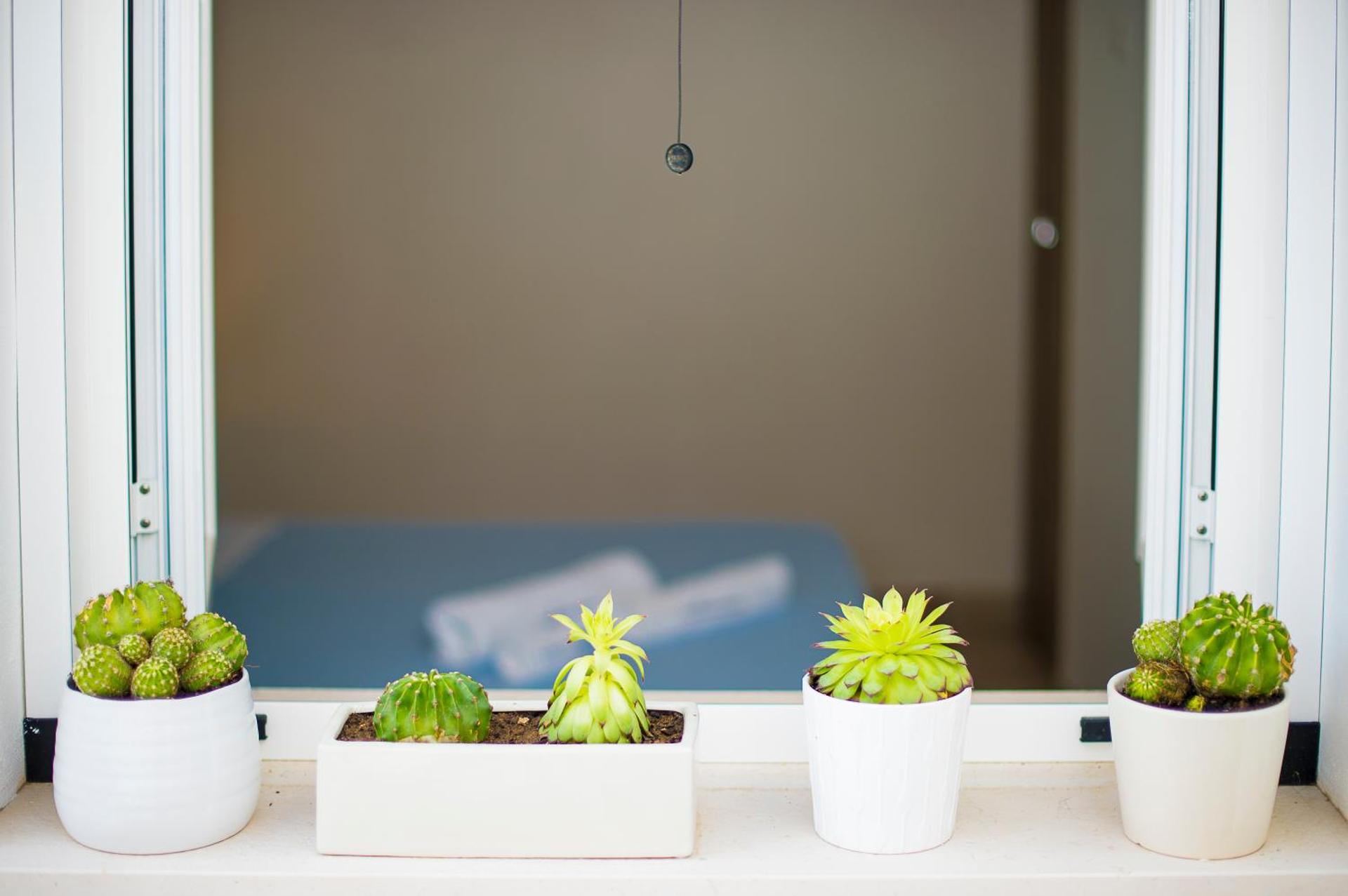 Il Delfino - Photo 5