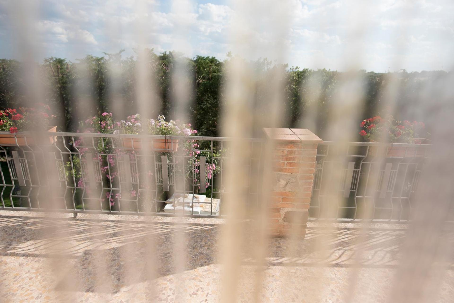 Il Delfino - Photo 16