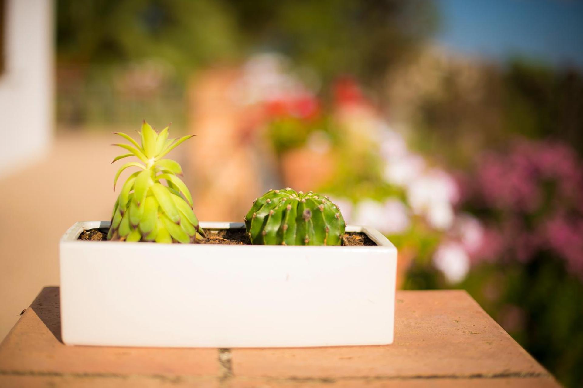 Il Delfino - Photo 27