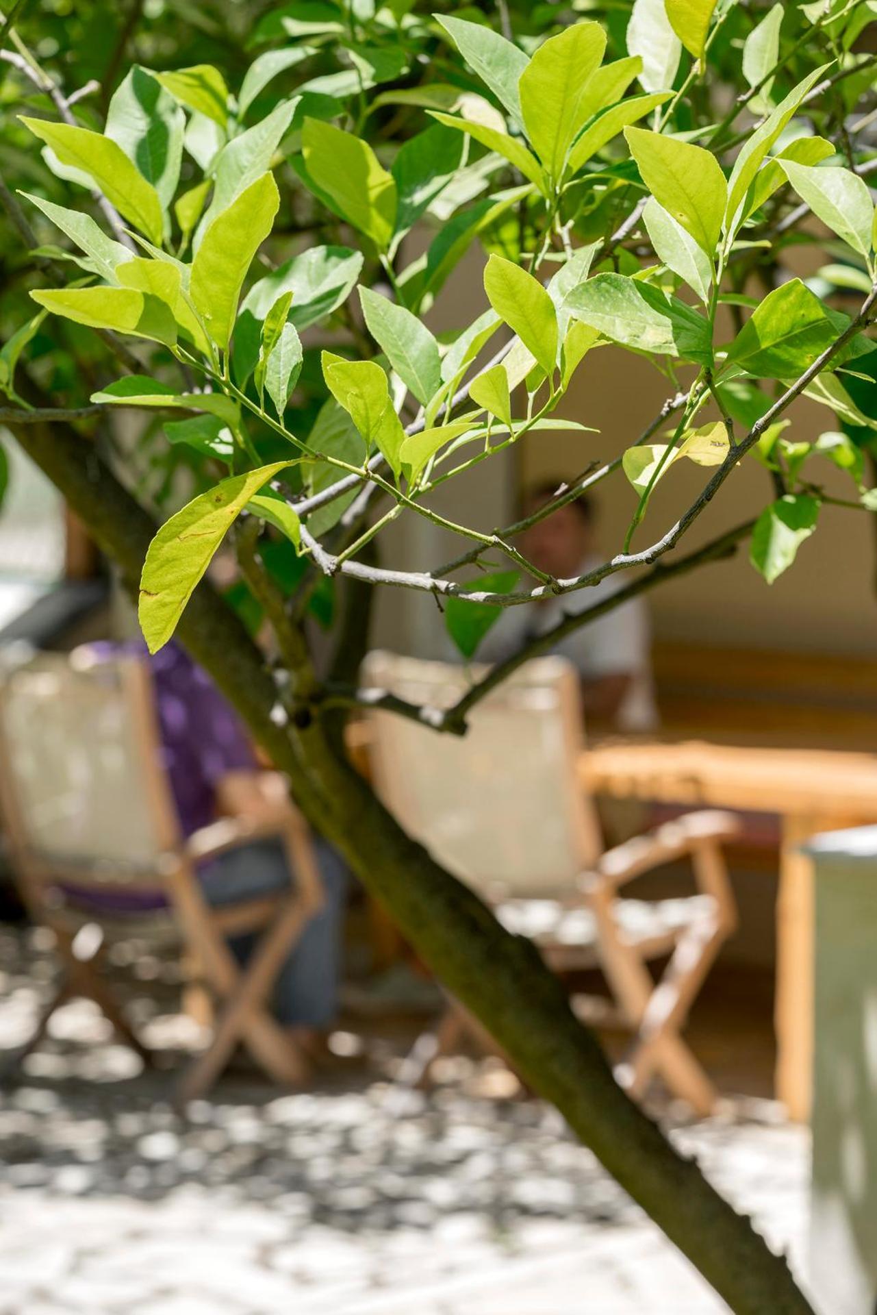 Valashouse - Photo 54