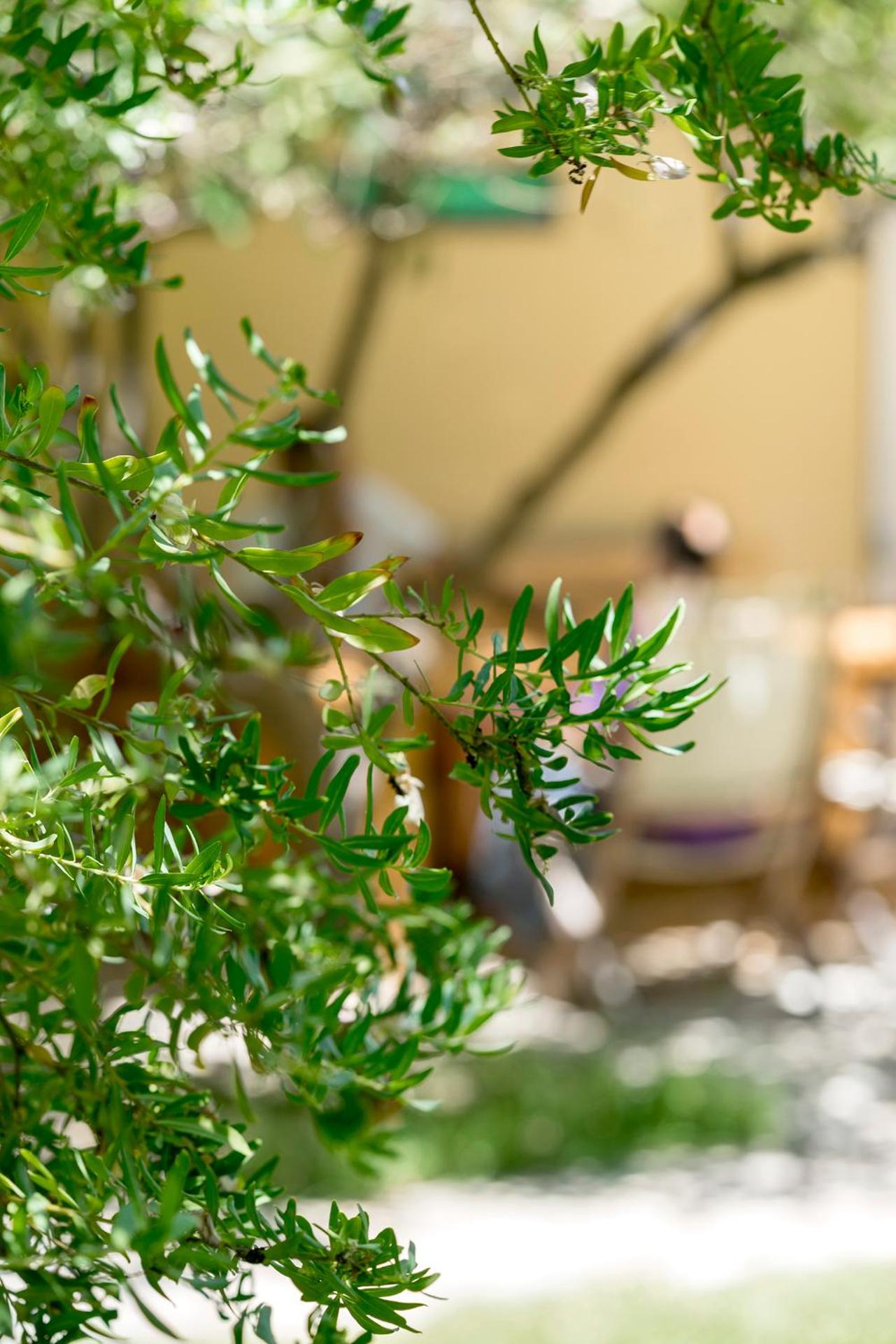 Valashouse - Photo 55