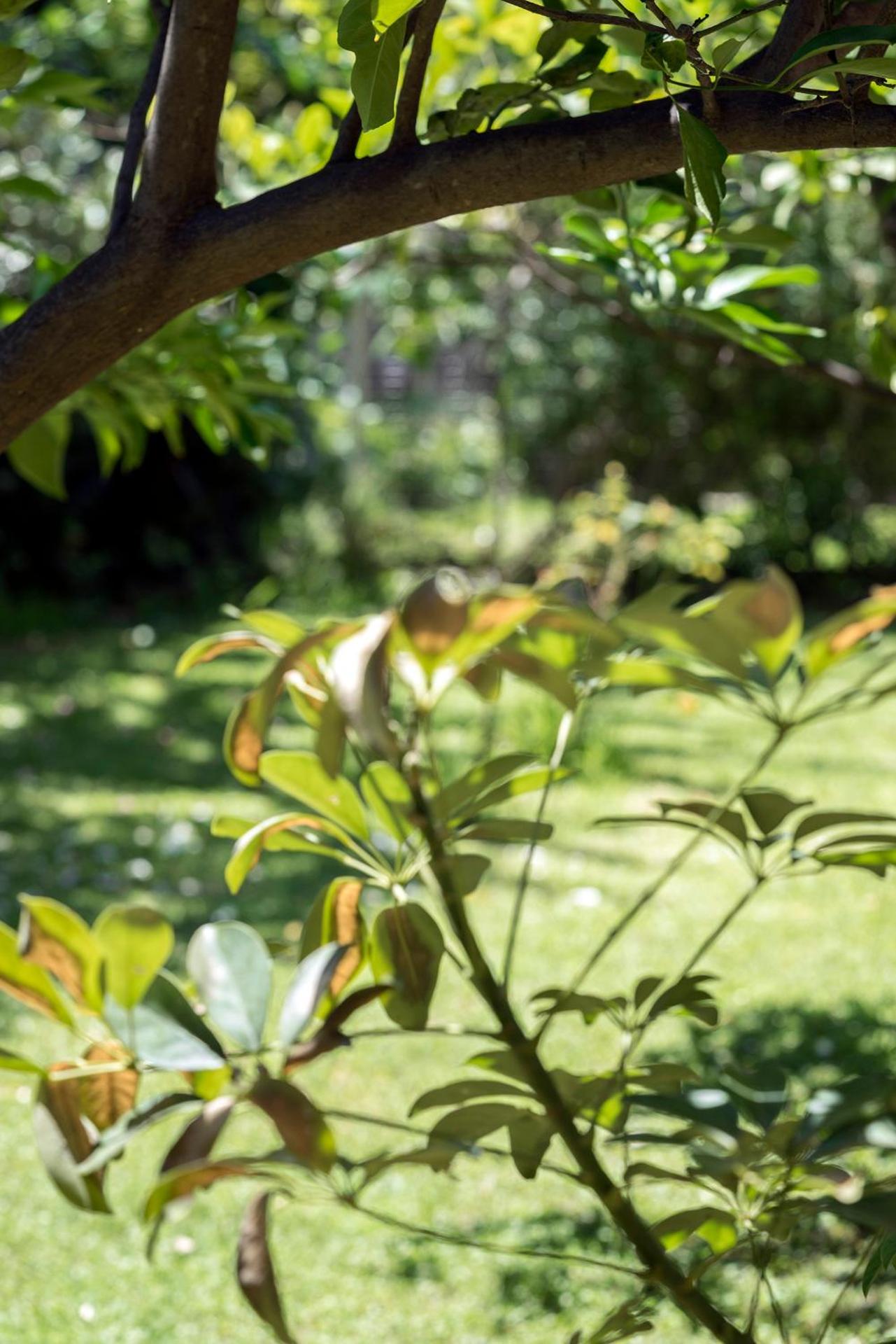 Valashouse - Photo 57