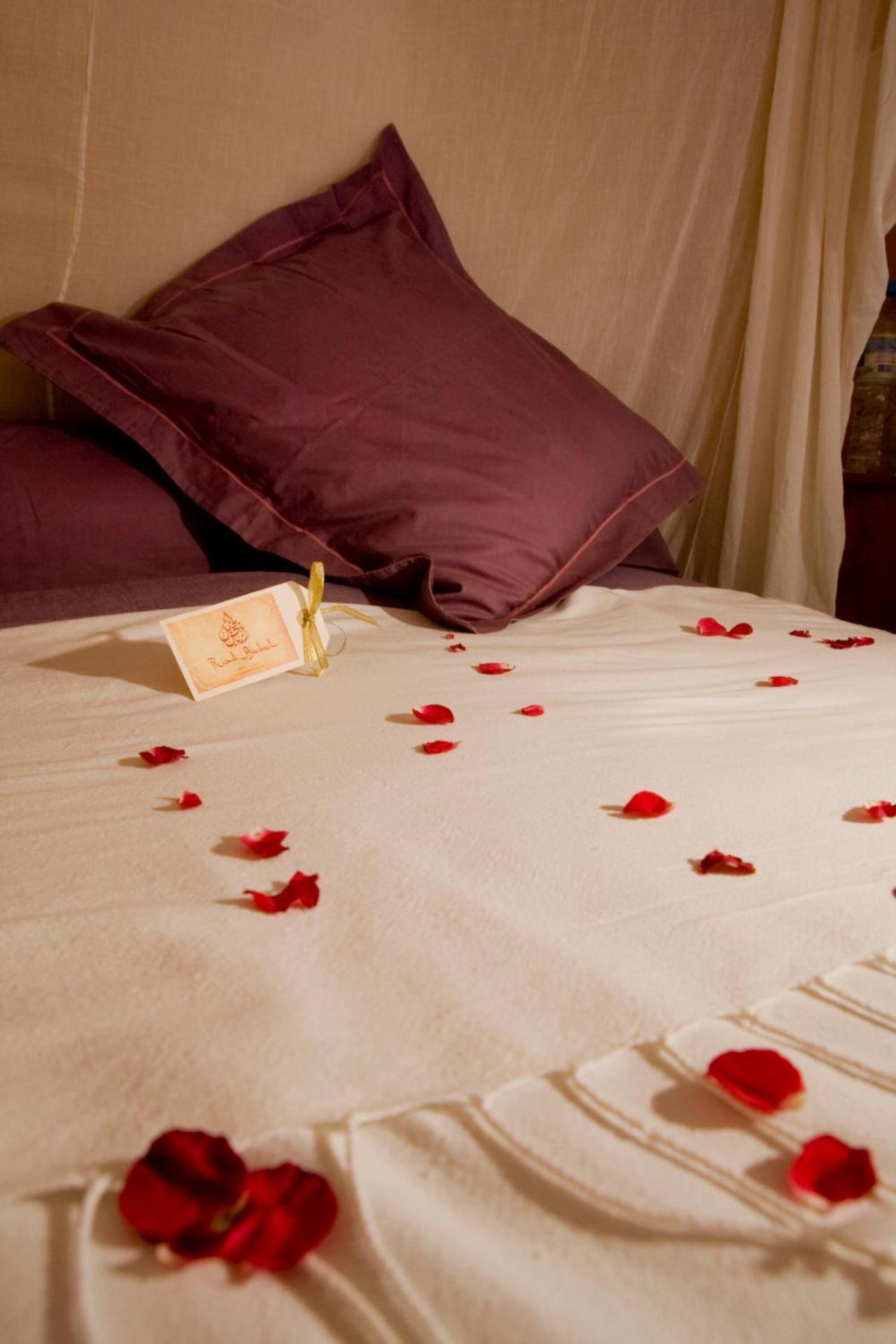 Riad Ajebel - Photo 27