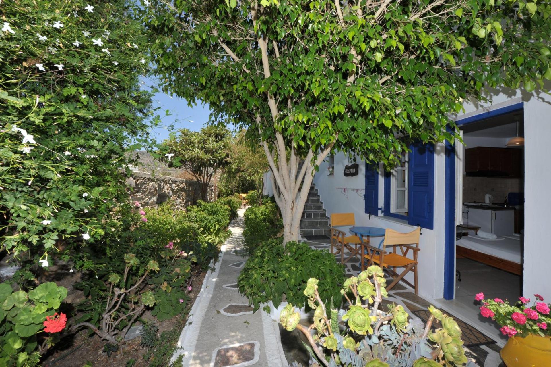 Pension Sofia Amorgos-Katapola - Photo 37