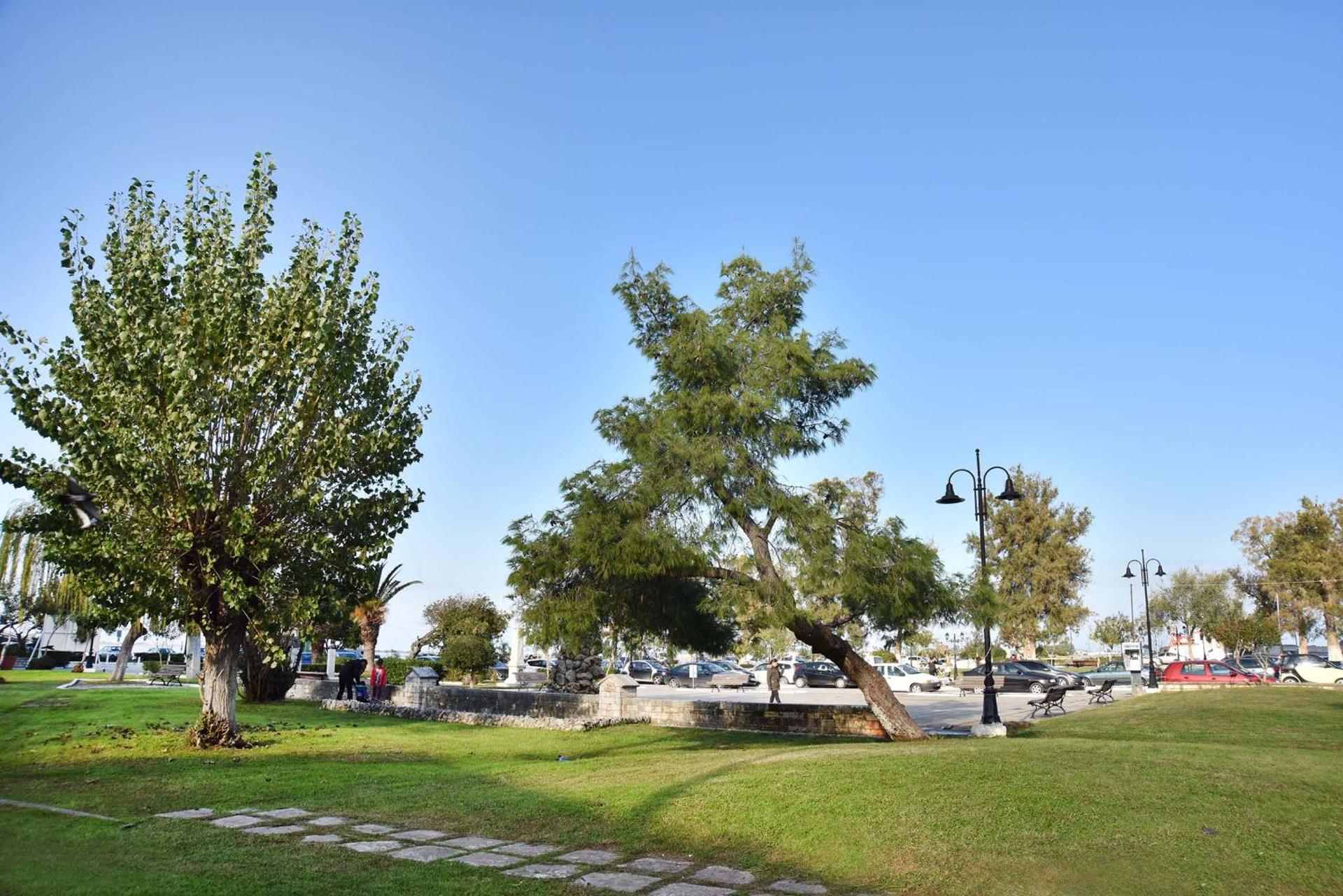 Ionion Star Hotel - Photo 28