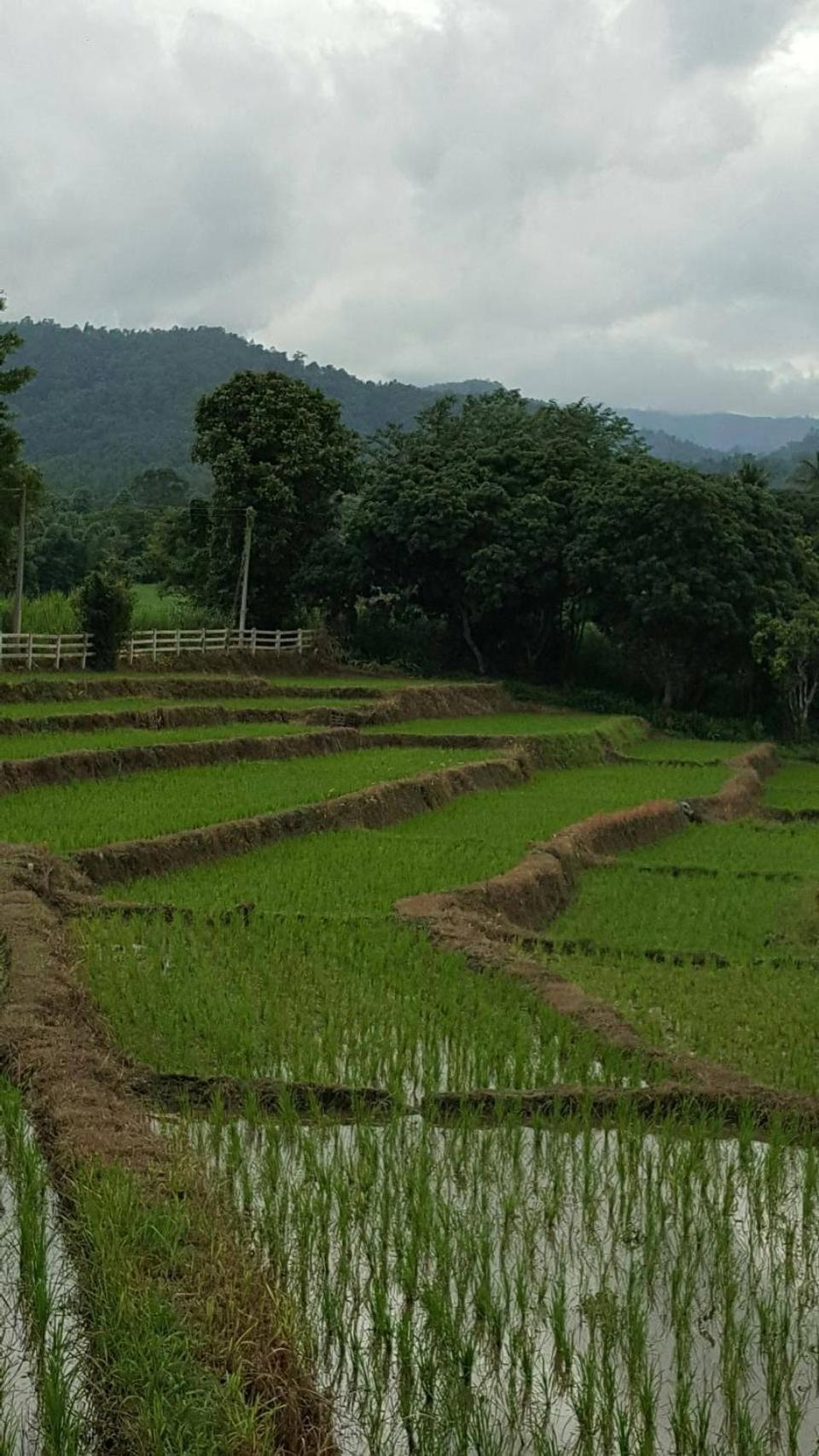 Buraphat Resort - Photo 140