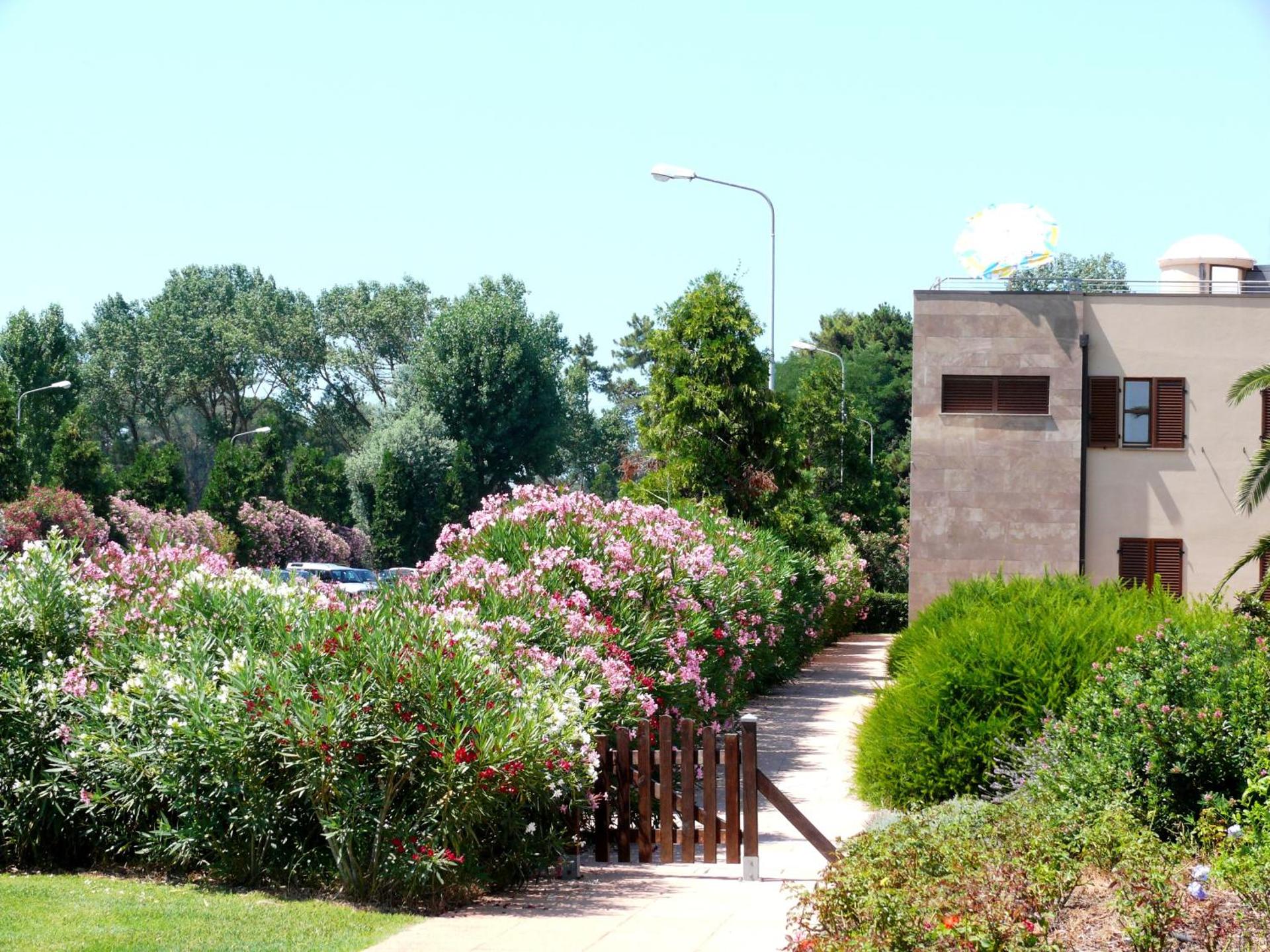 Cosmopolitan Golf & Beach Resort - Photo 14
