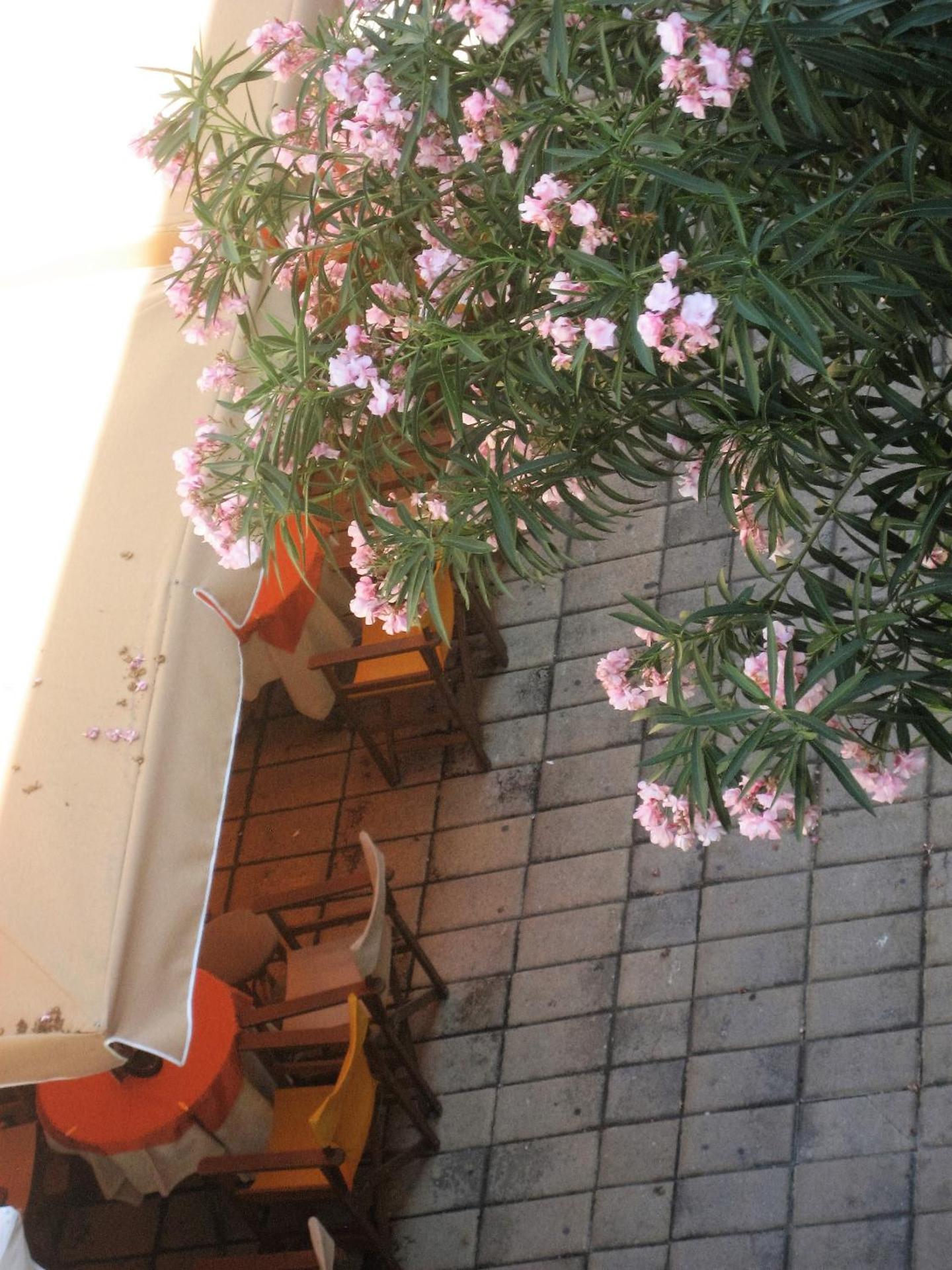 Milva Apartments - Photo 66