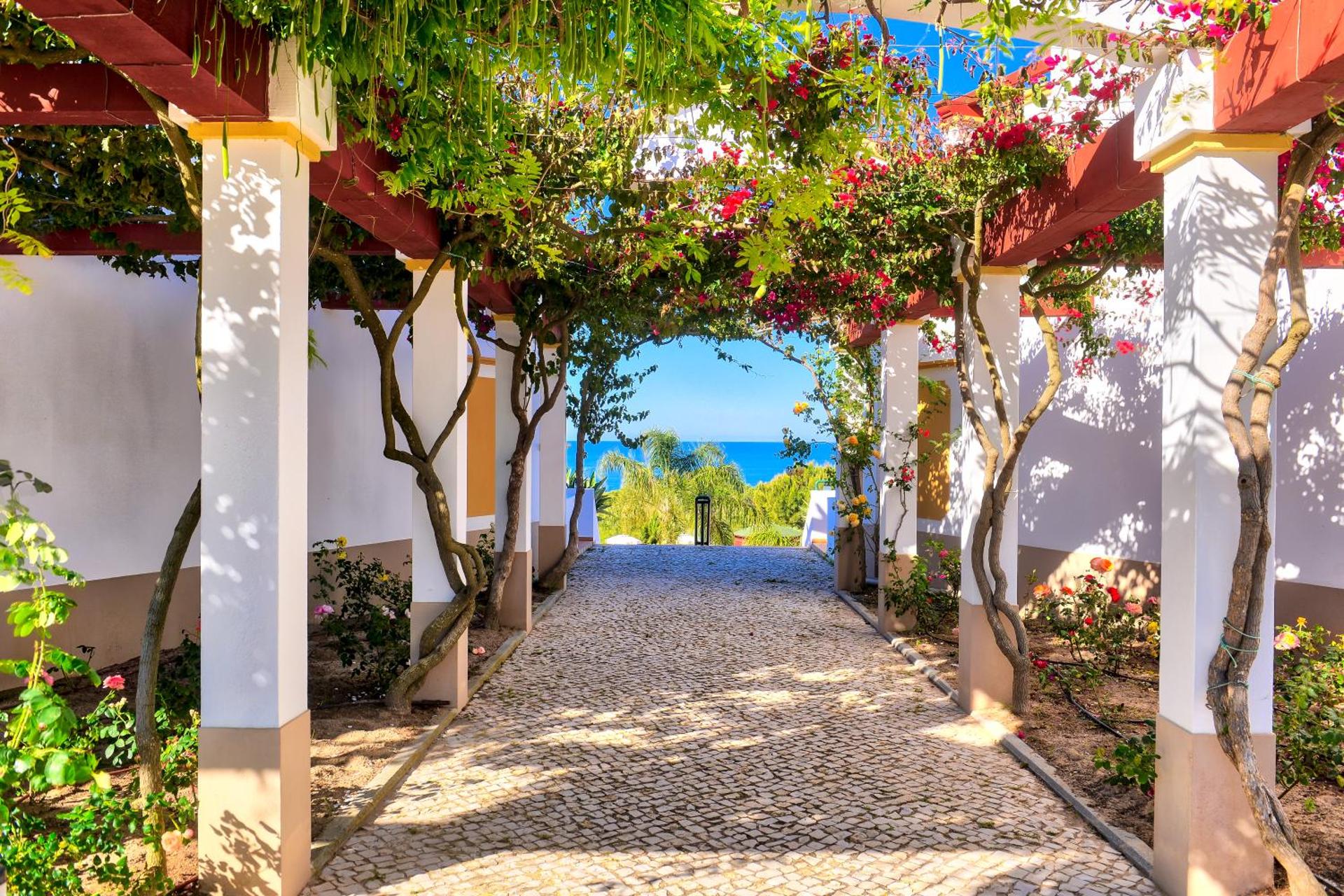 Moradias Villas Rufino - Photo 79