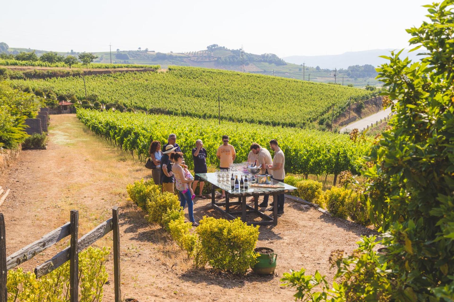 Quinta da Barroca Douro Valley - Photo 11