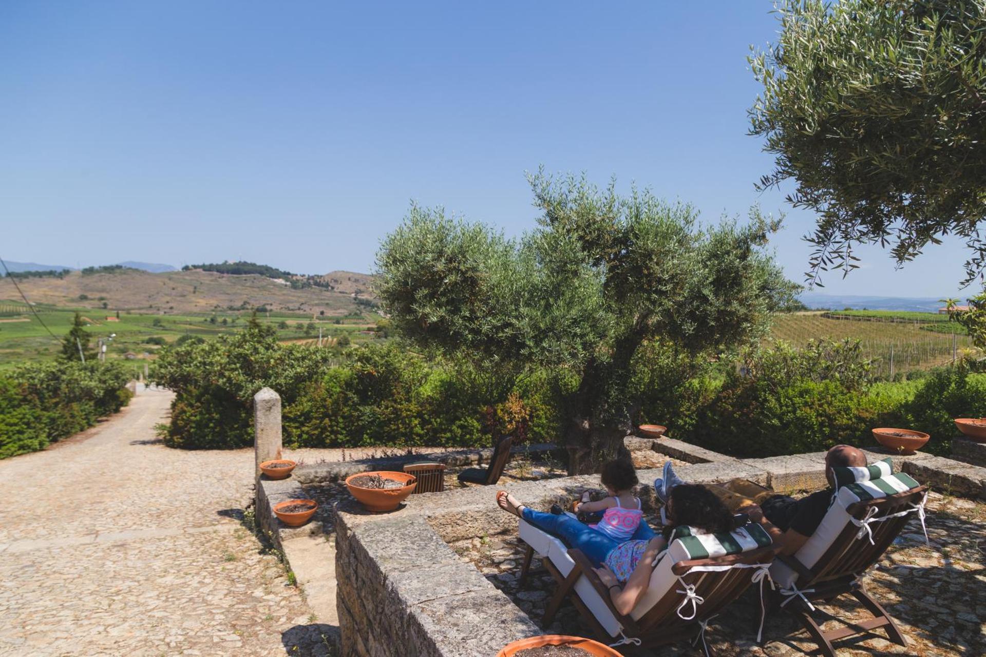 Quinta da Barroca Douro Valley - Photo 73